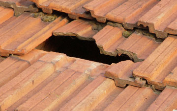 roof repair Carey Park, Cornwall